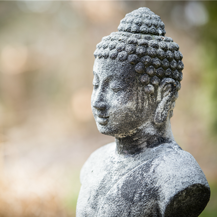 Wellness Wednesday: Realign & Reconnect: A 30-Minute Sacred Pause
