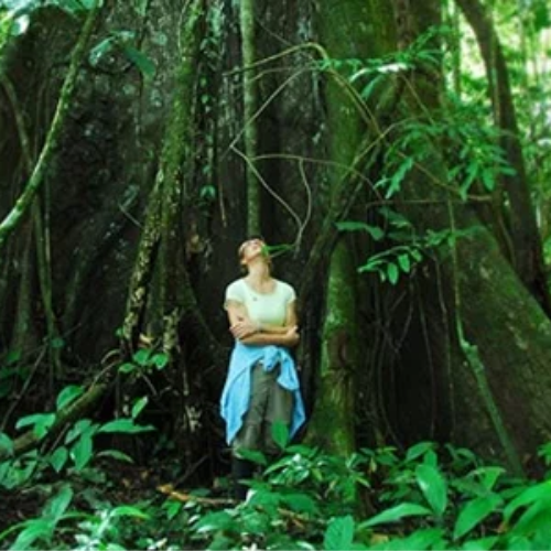 Inspiration Circle: Wild Women: Inspiration from the Amazon and Redefining Women's Leadership